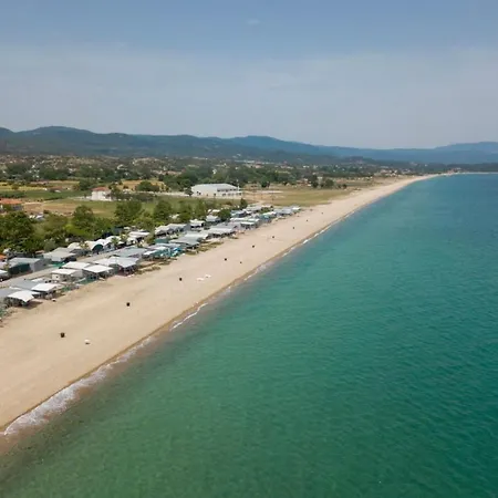 κοχυλι Daire Ierissos