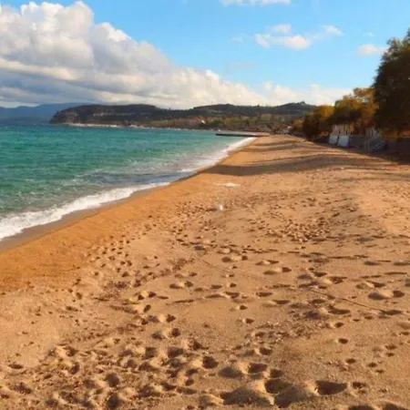 κοχυλι Daire Ierissos